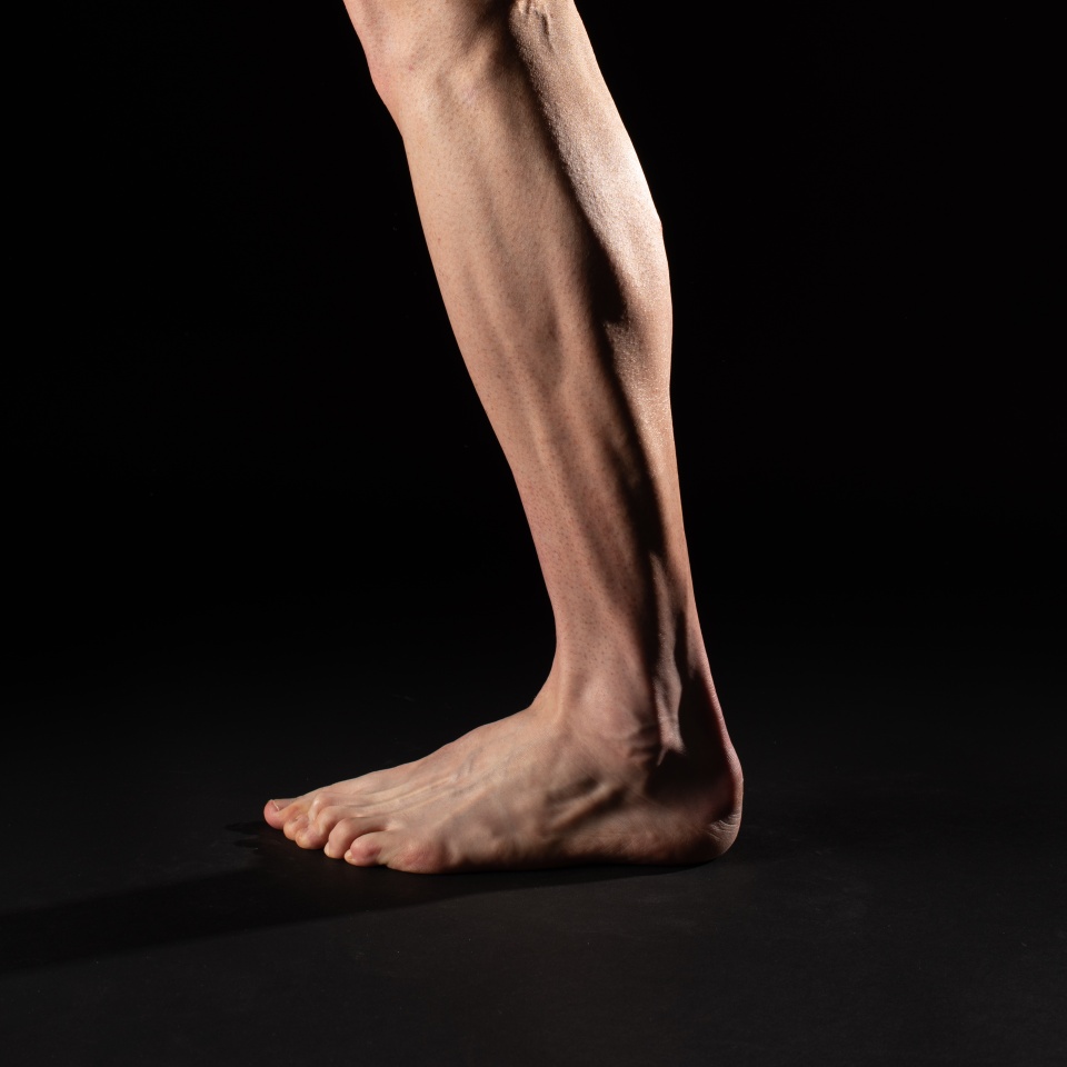 Side view of the leg and calf muscle of a fibrous barefoot cyclist athlete. Studio photography with black background