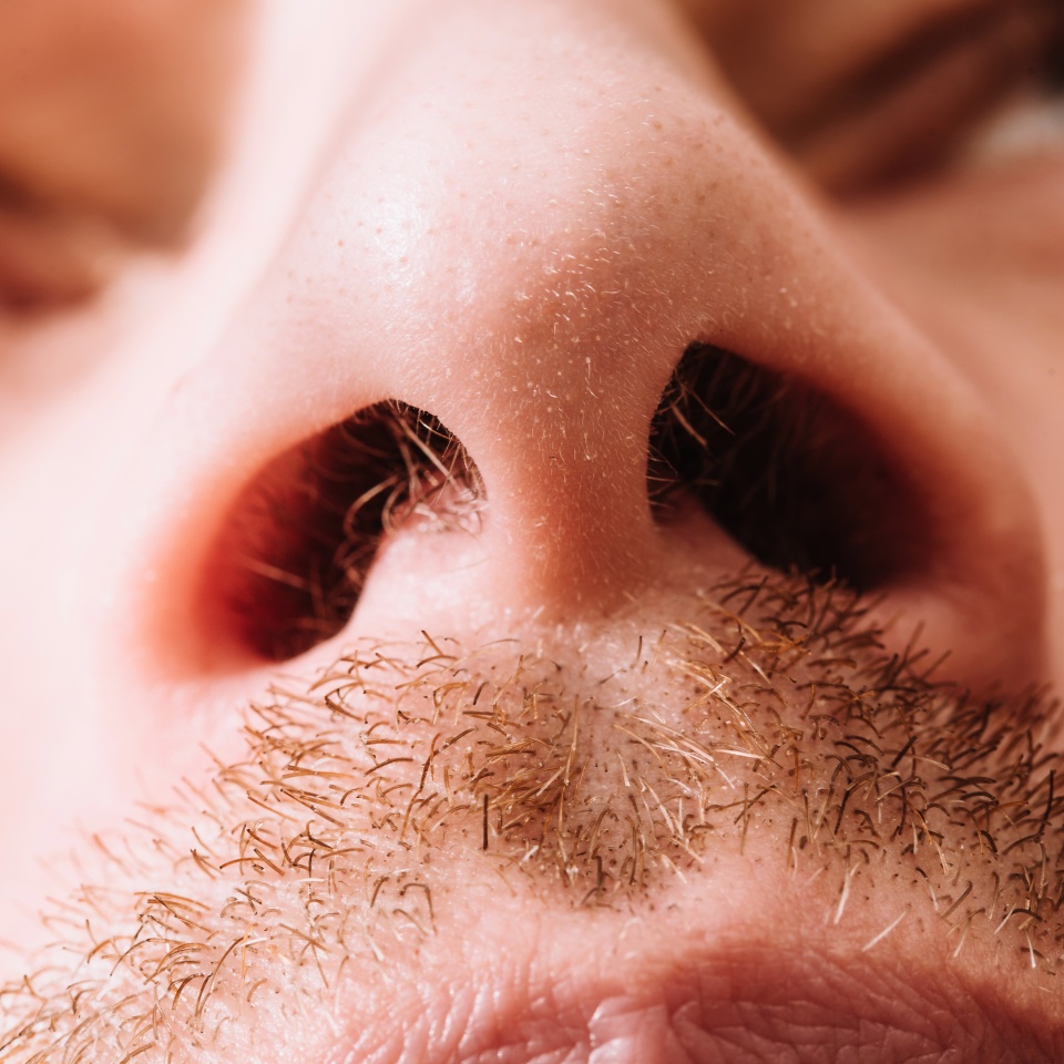 Close up of nostrils and hair in them - male nose bottom view