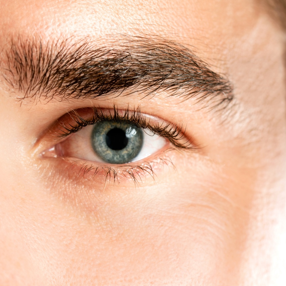 Closeup of male eye - Beauty and healthcare concepts