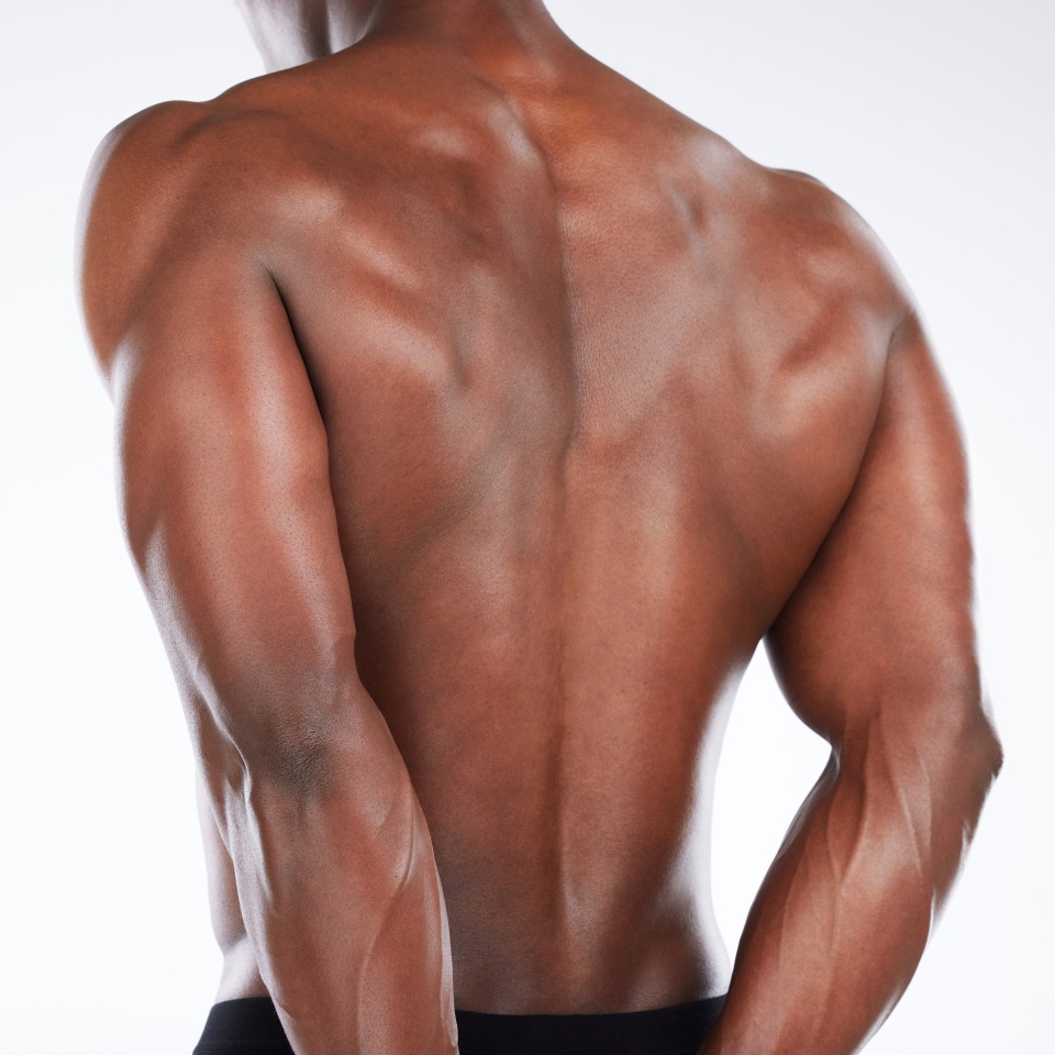 Back view, topless athlete or black man with muscle in studio for health or pose on white background. Bodybuilder, closeup or strong African person ready for training performance or fitness workout